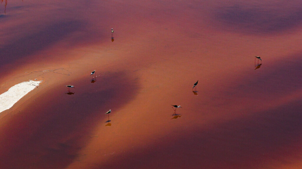 Atrona Lake by Giulio Aprin